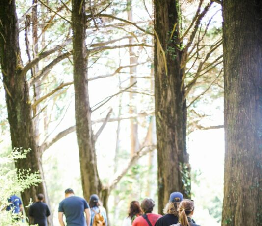가을 운동, 체중 감량과 건강 유지의 핵심 전략 people walking on dirt road between trees during daytime