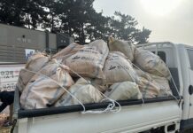 깨끗한 대부도 해변을 위한 연안 정화 활동 지속 추진