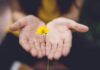 ‘마음의 체력’을 기르는 스트레스 해소법…일상 속 실천 팁 주목 selective focus photography of woman holding yellow petaled flowers