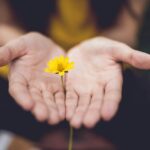 ‘마음의 체력’을 기르는 스트레스 해소법…일상 속 실천 팁 주목 selective focus photography of woman holding yellow petaled flowers