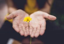‘마음의 체력’을 기르는 스트레스 해소법…일상 속 실천 팁 주목 selective focus photography of woman holding yellow petaled flowers