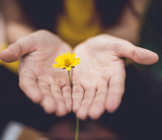‘마음의 체력’을 기르는 스트레스 해소법…일상 속 실천 팁 주목 selective focus photography of woman holding yellow petaled flowers