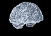 ‘뇌건강’, 더 이상 먼 이야기 아니다… 일상 속 똑똑하게 챙기는 방법 a close up of a human brain on a black background